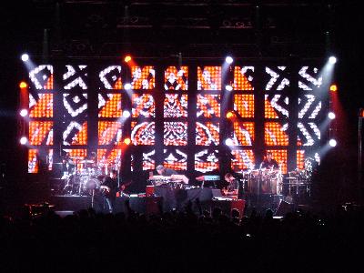 picture #7