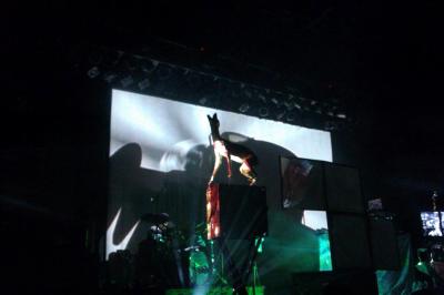 picture #7