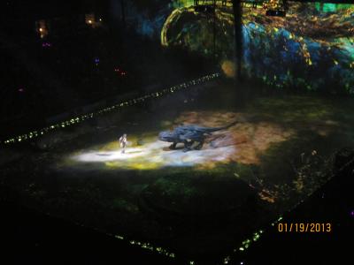 picture #7