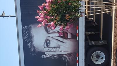 picture #63