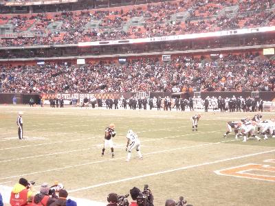 picture #44
