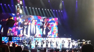 picture #9