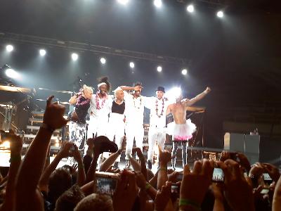 picture #63