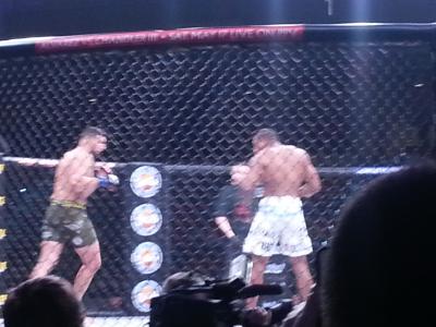 picture #8