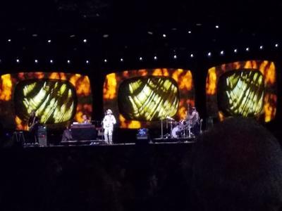 picture #5