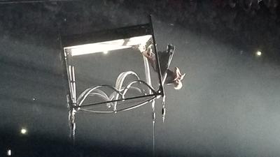 picture #8