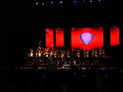 picture #9