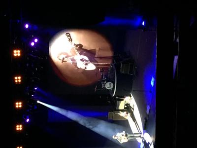 picture #5