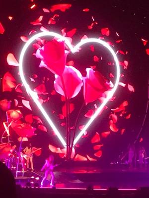 picture #11