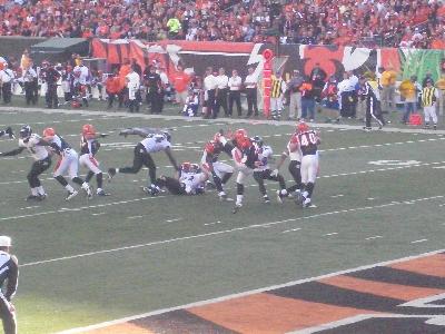 picture #8