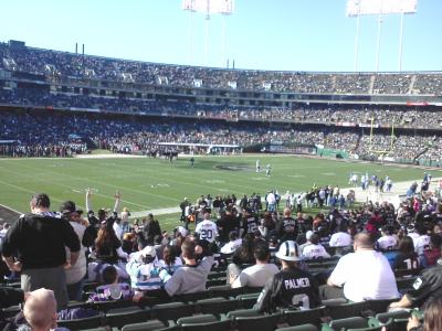 picture #19