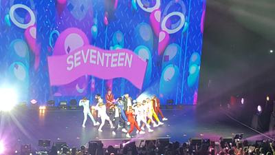 picture #9