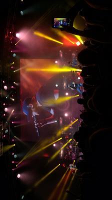 picture #9