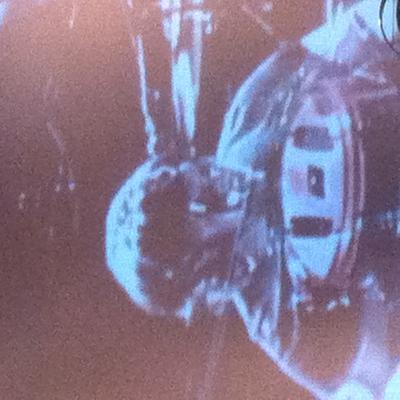 picture #8