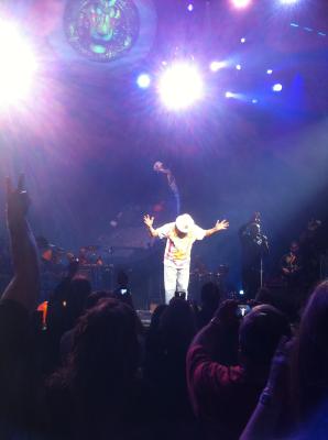 picture #11