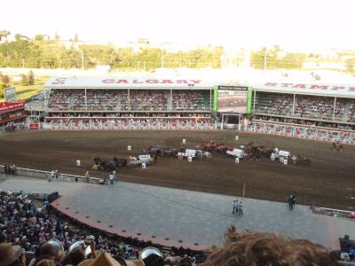 picture #28