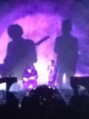 picture #8