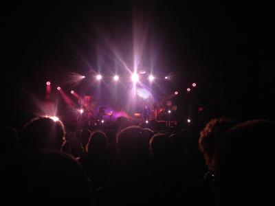 picture #11