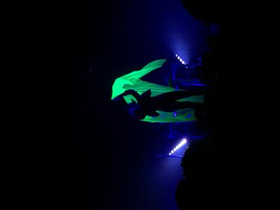 picture #7