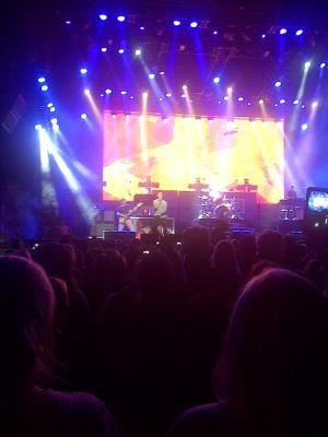 picture #7