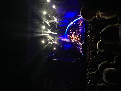 picture #37
