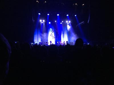 picture #16
