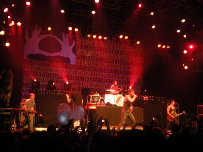 picture #11