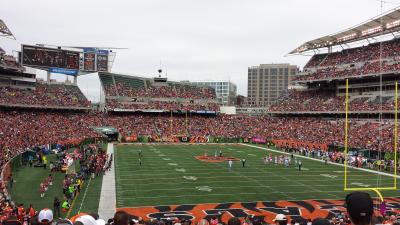 picture #29