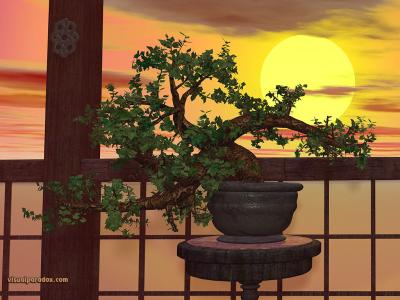 picture #66