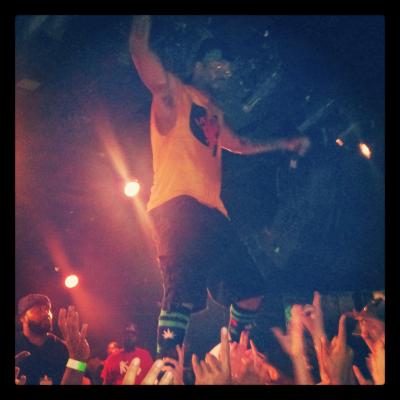 picture #7