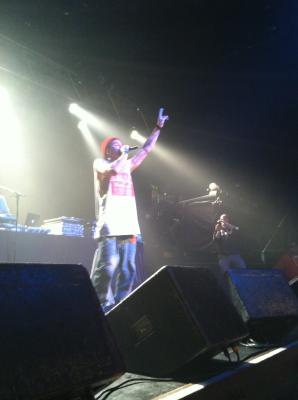picture #24