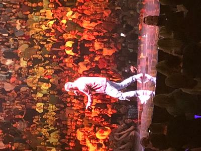 picture #8