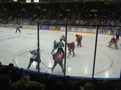 picture #6