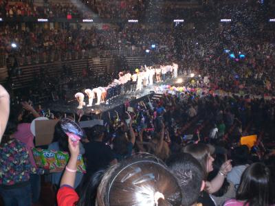 picture #11