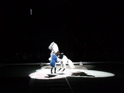 picture #14