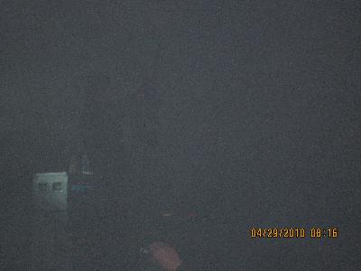 picture #8
