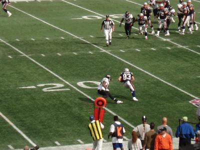 picture #33