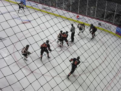 picture #5