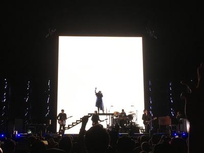 picture #30