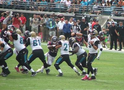 picture #16