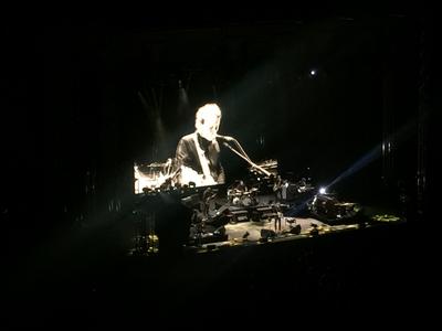 picture #4