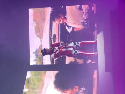 picture #7