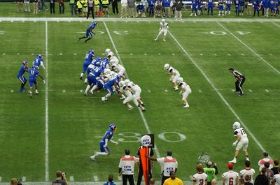 picture #11
