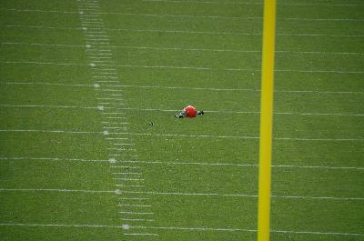 picture #46