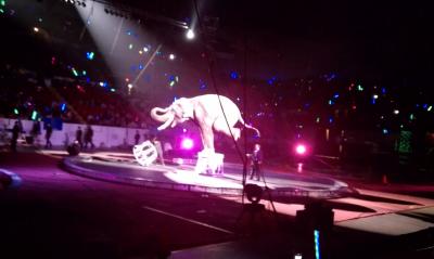 picture #98