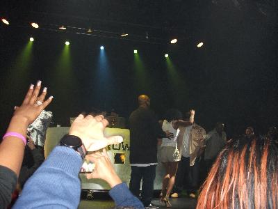 picture #8