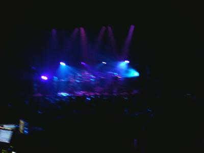 picture #7
