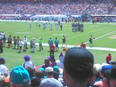picture #28