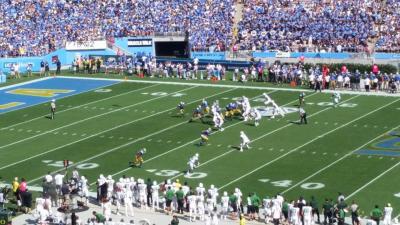 picture #15