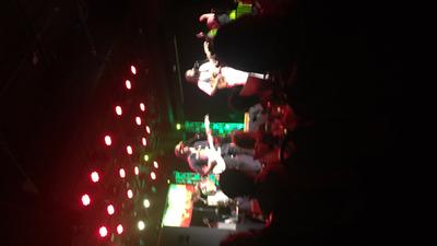 picture #11